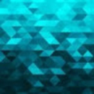 Meet your Posher, Suzy